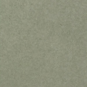 healing_aloe-achterzijde