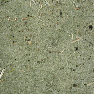 healing_aloe-voorzijde